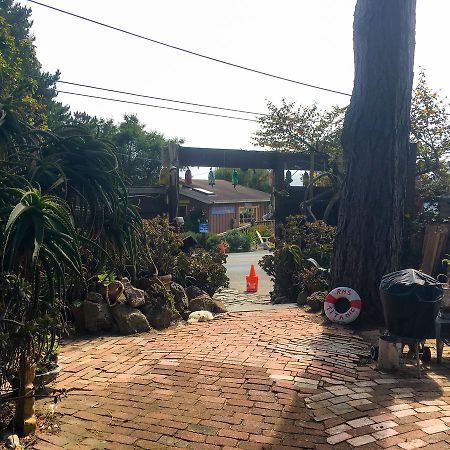 Stinson Beach Redwoods Haus Bed and Breakfast Εξωτερικό φωτογραφία