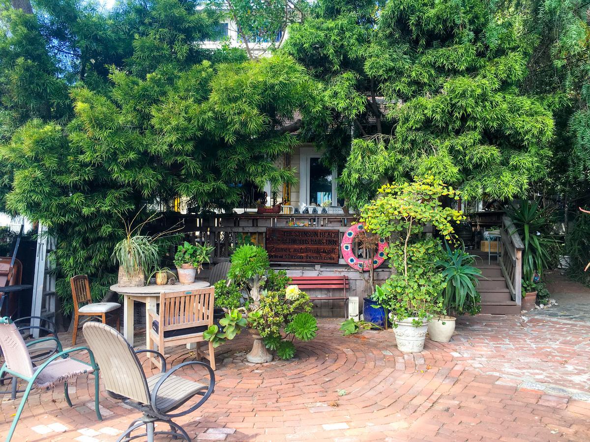 Stinson Beach Redwoods Haus Bed and Breakfast Εξωτερικό φωτογραφία